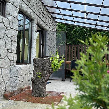 Танхаус Dilidžan Exteriér fotografie